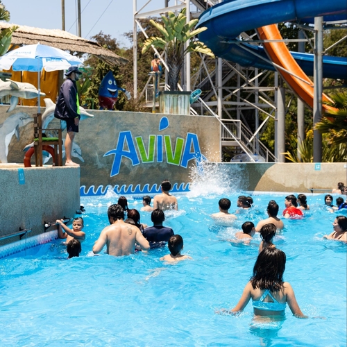 Dernière affaire concernant Le parc aquatique d'Aviva au Chili