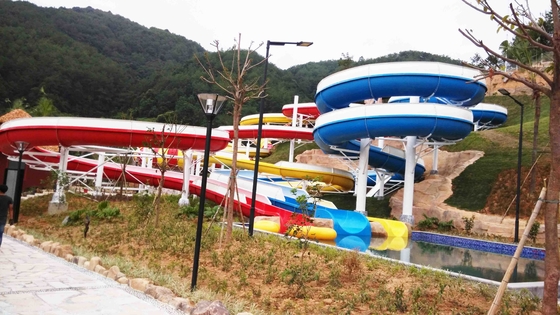qualité  Funny FPR Water Slide Games Double Open And Close Cool Water Slides for Water Park Usine