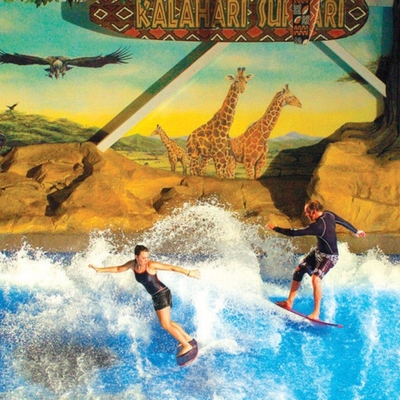 Double/simple bleu de tour de l'eau de Flowrider a coloré la machine surfante de simulateur avec le matériel de fibre de verre