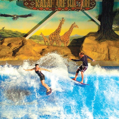 Apprécier le tour de l'eau de Flowrider, conseil de dérapage de vague/amusement attrayants surfants parc d'Aqua