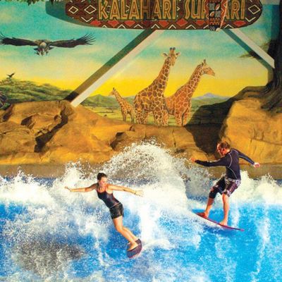 Simulateur de surf OEM Flowrider avec pompe à eau de 65 kW et PVC souple résistant pour parcs aquatiques 15,3 m * 9,3 m