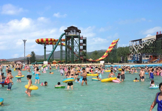 Équipement adapté aux besoins du client de parc aquatique excitant des Waterslides de fibre de verre de piscine de Swwiming pour des adultes