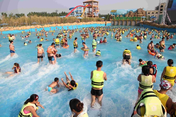 Piscine de vague de parc aquatique d'amusement de famille pour des enfants ou des adultes/projet de parc aquatique