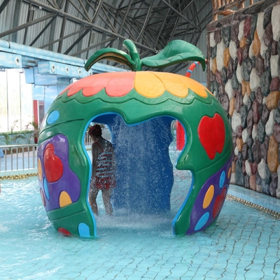 Équipement extérieur de parc de jet d'eau de fibre de verre/équipement aquatique de jeu pour des enfants