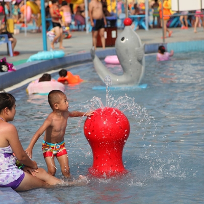 Équipement adapté aux besoins du client de parc de jet de carton de carpe pour l'amusement d'enfants/enfants dans la piscine