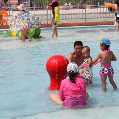 Équipement adapté aux besoins du client de parc de jet de carton de carpe pour l'amusement d'enfants/enfants dans la piscine