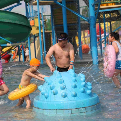 Amusement de jeu d'Aqua de jet de hérisson d'équipement de terrain de jeu de l'eau de fibre de verre pour des enfants