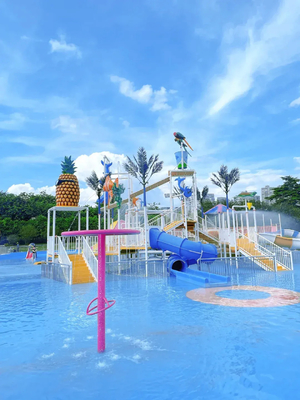 Étude de faisabilité du parc aquatique Papillon Parc aquatique pour enfants Équipement de jeux d'eau pour éclaboussures d'eau