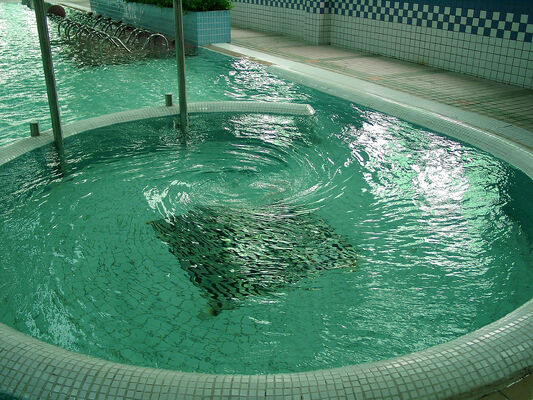 Équipement de spa d'hydrothérapie résistant à la corrosion avec structure en acier galvanisé à chaud et système de contrôle intelligent